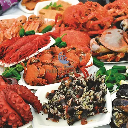 Norat Palmeira Playa Hotel Ribeira