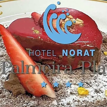 Norat Palmeira Playa ホテル 4*
