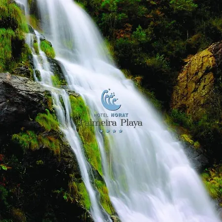 Hotel Norat Palmeira Playa 4*