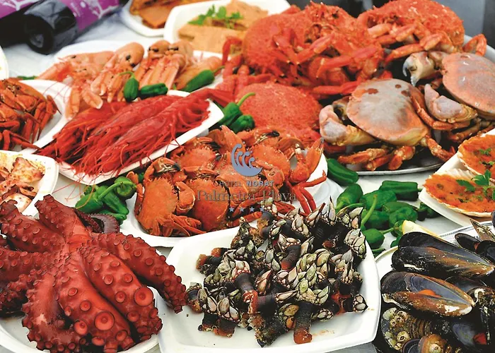 Norat Palmeira Playa Otel Ribeira