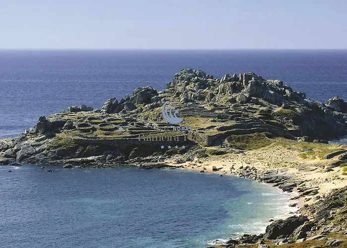 Norat Palmeira Playa