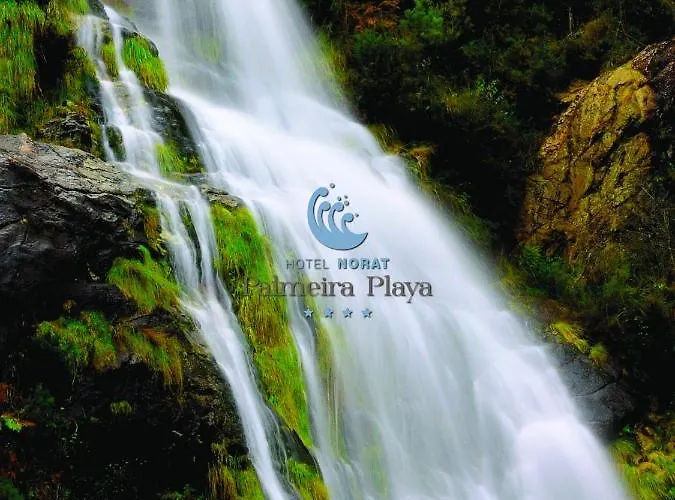 Otel Norat Palmeira Playa 4*