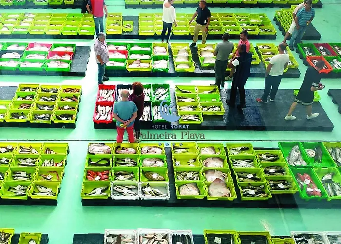 Otel Norat Palmeira Playa