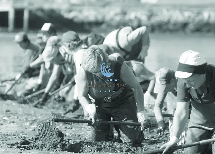 Norat Palmeira Playa