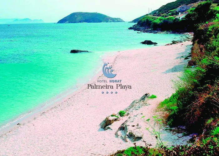 Norat Palmeira Playa